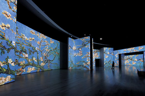 vangogh alive 5 - Van Gogh proyecta su arte en el Círculo de Bellas Artes