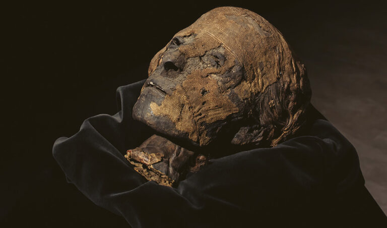 La cabeza de una momia, protagonista de Feriarte 2019
