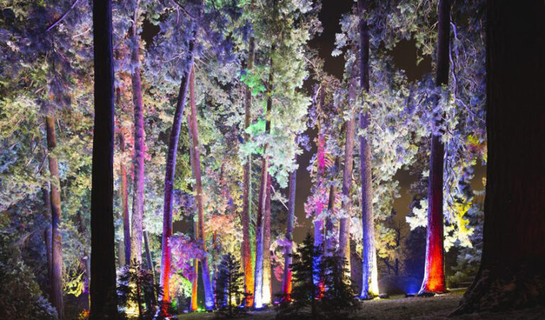 Luces de colores y hadas te invitan a un paseo por el Jardín Botánico