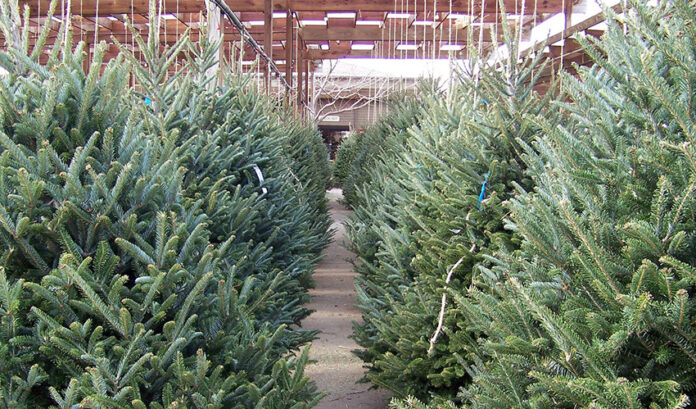 arbol de navidad SLIDEok