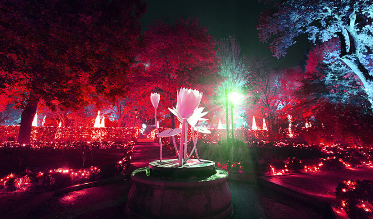 Jardín Botánico de Madrid Navidad Naturaleza Encendida