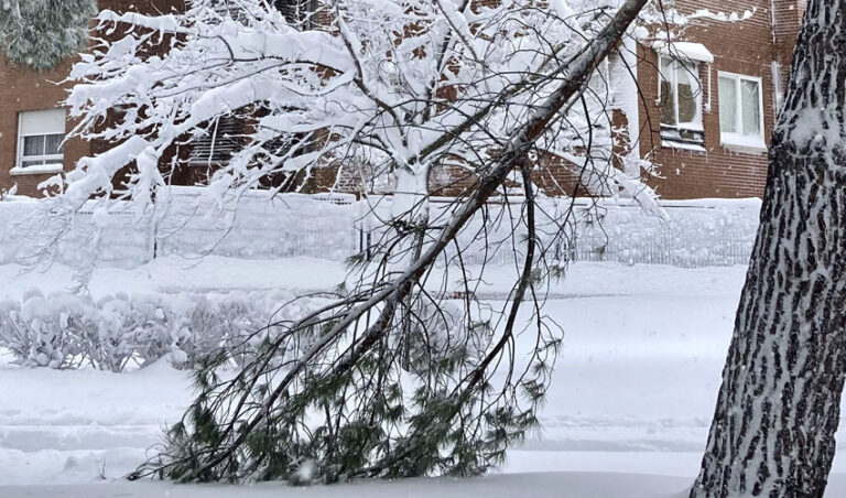nevada en Madrid 9 enero 2020
