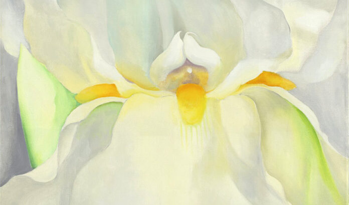 flor OKeeffe SLIDEok Exposición Madrid Georgia O’Keeffe