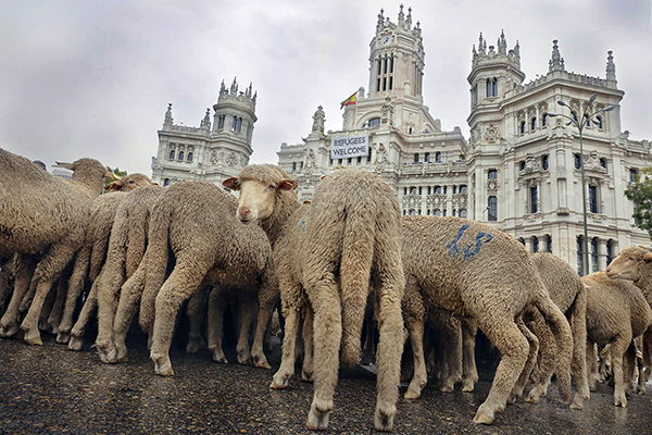 Fotografia de Madrid Javier Aranburu