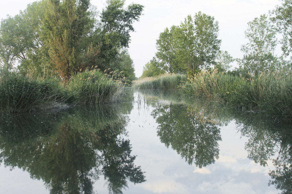 Paisaje del Canal de Castilla
