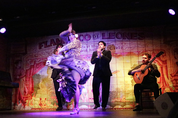 flamenco de leones Madrid 