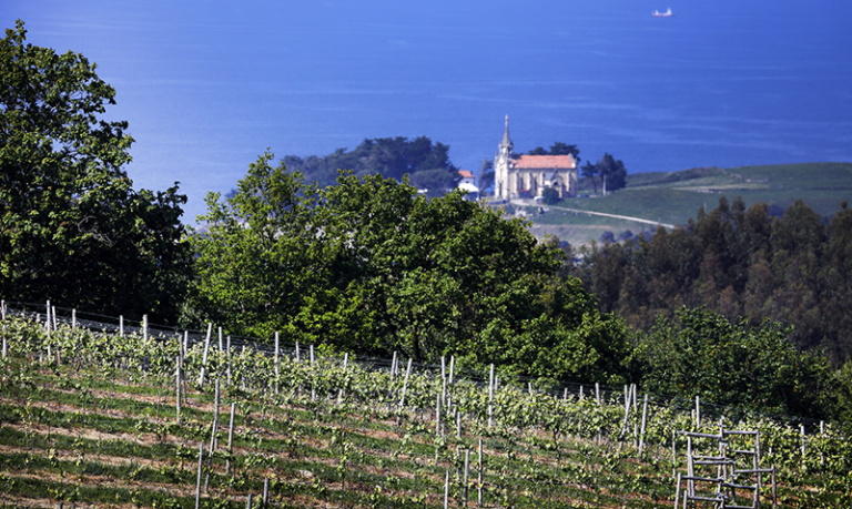 bodegas Miradoiro Cantabria enoturismo