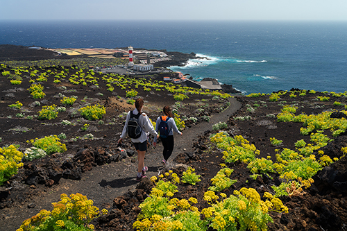 Isla de la palma. viajes - escapadas desde Madrid
