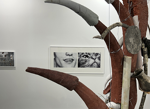 ARCO 2026 Madrid_