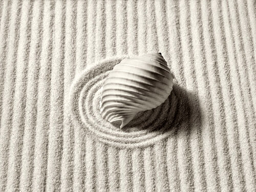 Chema Madoz en la Galería Elvira González